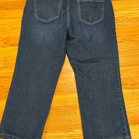 Lightly Used - Gloria Vanderbilt Amanda Jeans Size 16PS - 34" x 24" - Picture 10 of 14